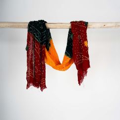 collection-1