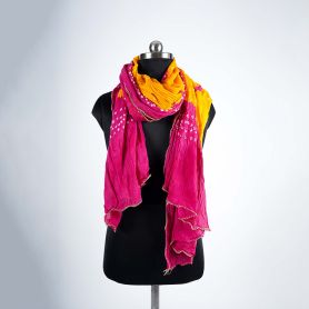 collection-1
